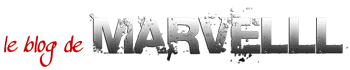 WP SERVEUR