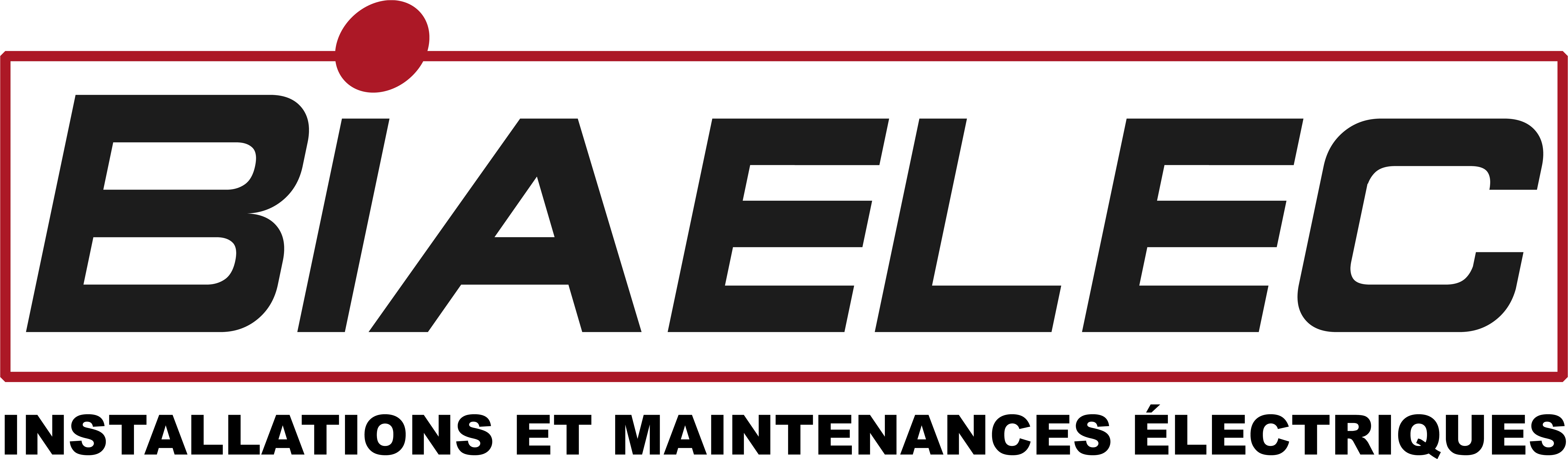 BIAELEC - S.E.B.