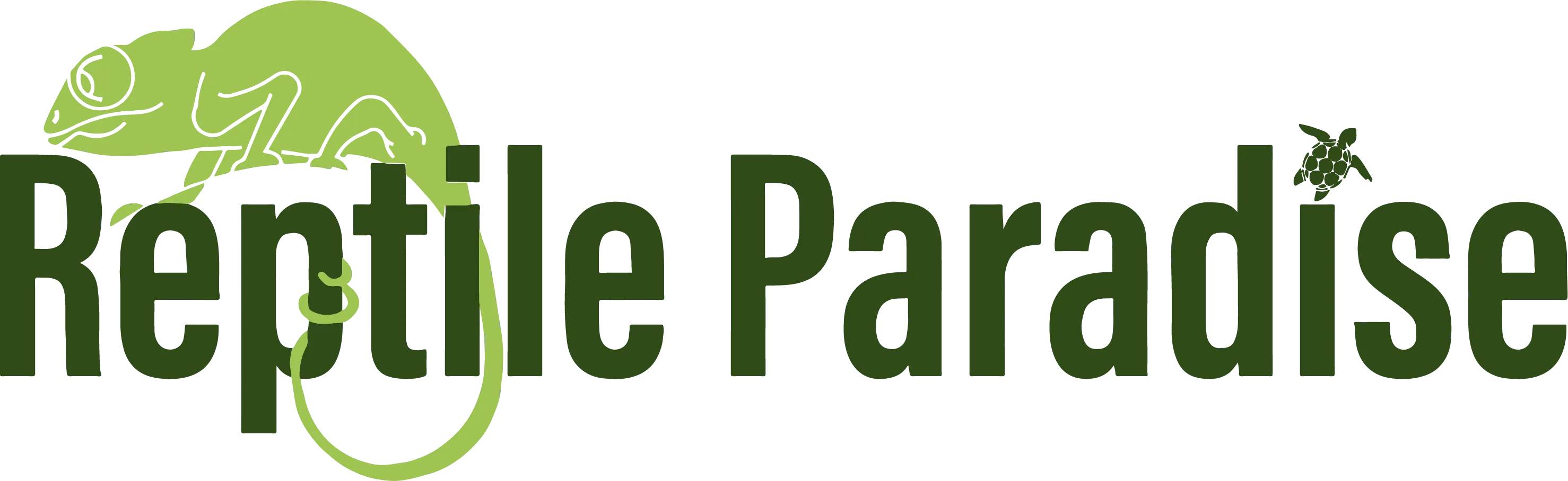 REPTILES PARADISE