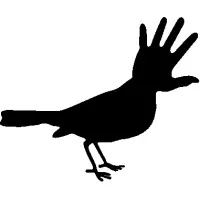 LES EDITIONS NULLIUS IN VERBA