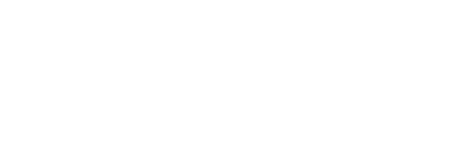 LIMOUSINE EVASION