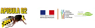 APICULA 02