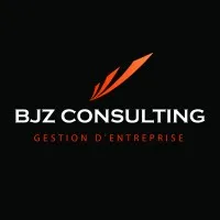 BJZ CONSULTING