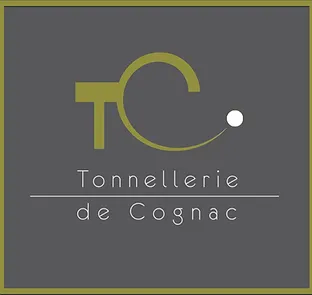 CF CONSULTING
