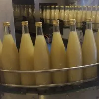 JUS DE FRUITS ROTHGERBER