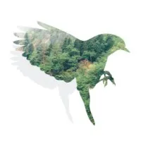 GREENCUB