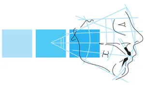 SELARL CABINET DU DOCTEUR BOURY ET ASSOCIES