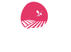 SAINFOLIA