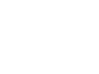 POLYFLAM