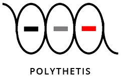 POLYTHETIS