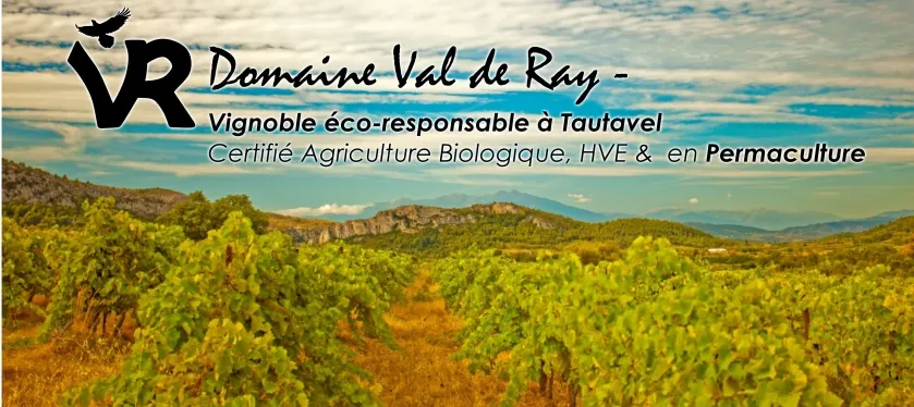 DOMAINE VAL DE RAY