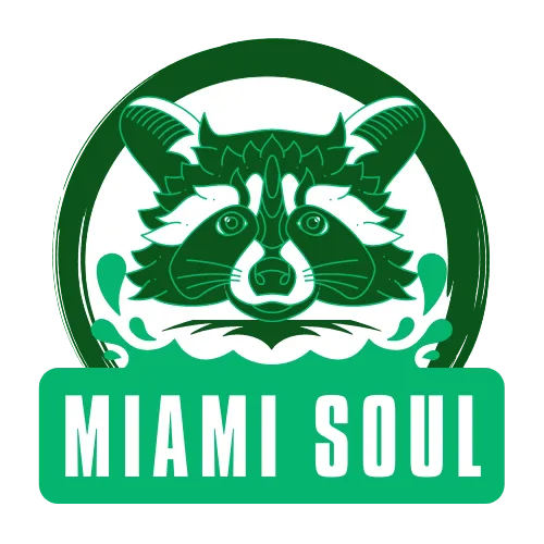 MI.AMI SOUL