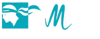 COMPAGNIE MARITIME PROPRIANO VALINCO (C.M.P.V.)