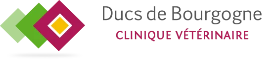 CLINIQUE VETERINAIRE DUCS DE BOURGOGNE