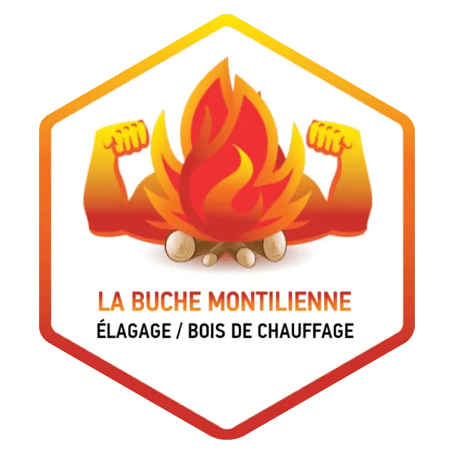 LA BUCHE MONTILIENNE