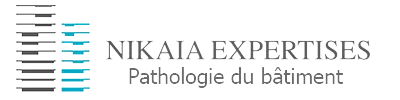 NIKAIA EXPERTISES
