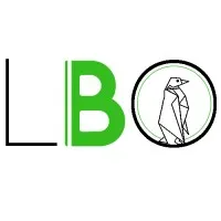 LB ORGANISATION