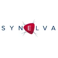 SYNELVA COLLECTIVITES