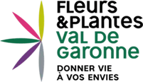 SAS FPVG