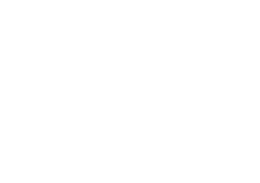 LEMAN FINANCEMENT
