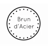 BRUN D'ACIER