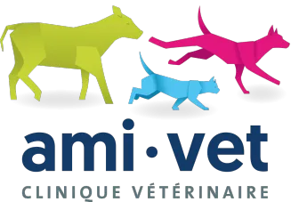 AMIVET