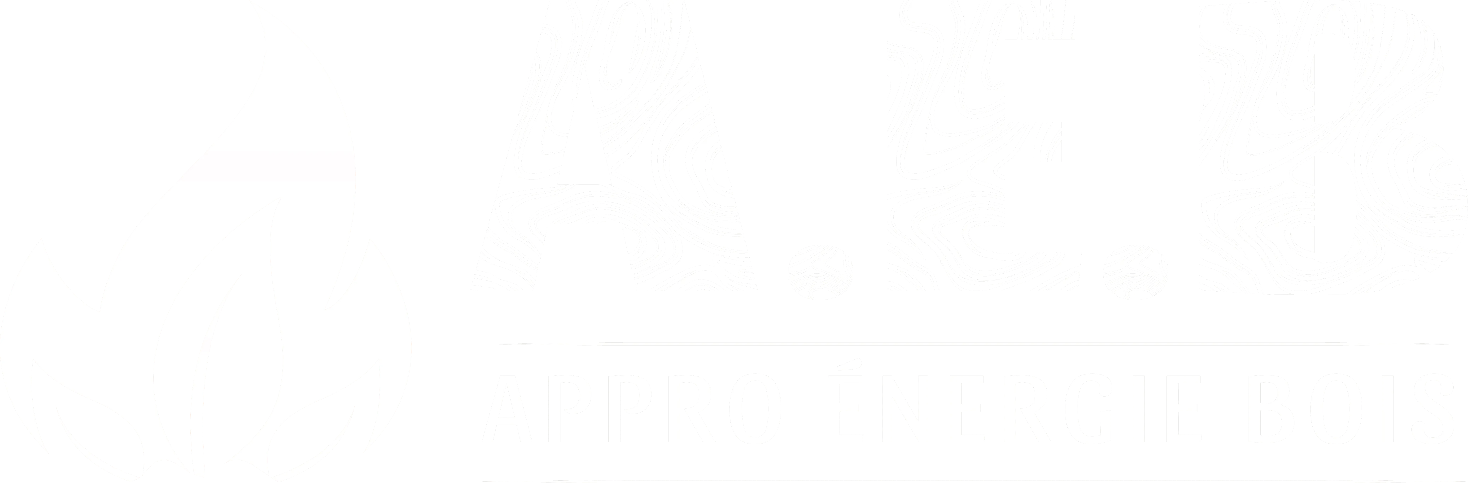 APPRO ENERGIE BOIS