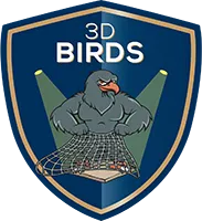 3 D BIRDS