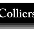 VIC.IMMO (COLLIERS INTERNATIONAL REIMS)