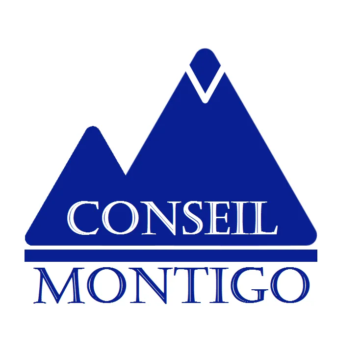MONTIGO CONSEIL
