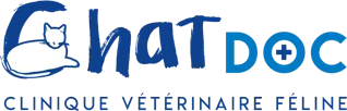 CHATDOC