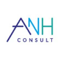 ANH CONSULT
