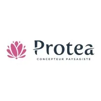 PROTEA CREATION