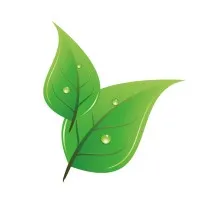 OXYGENE NUMERIQUE