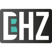 BEHZ CONSULTING
