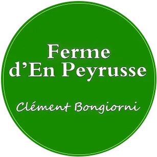 BONGIORNI CLEMENT