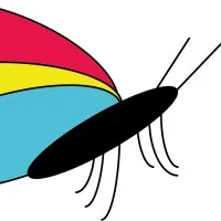 PAPILLON MULTICOLORE