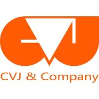 CVJ & COMPANY FRANCE