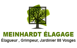 MEINHARDT CLAUDE