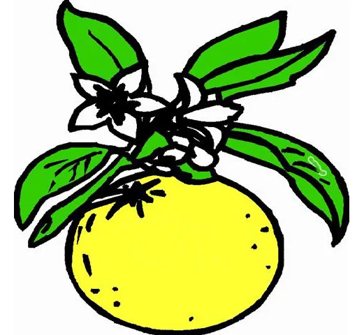 VERY WELL AND YOU SARL