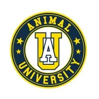 ANIMAL UNIVERSITY