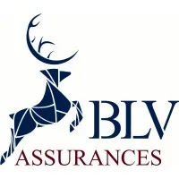 B.L.V ASSURANCES