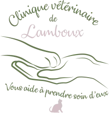 SELARL DE LAMBOUX