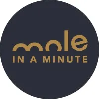MOLE IN A MINUTE