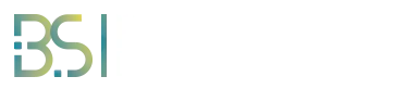 BLANCHISSERIE DE LA SARTHE 72 EURL