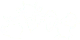 BOUCHERIE SCHWEITZER