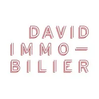 DAVID IMMOBILIER