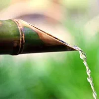 BAMBOO FOR LIFE (B4L)