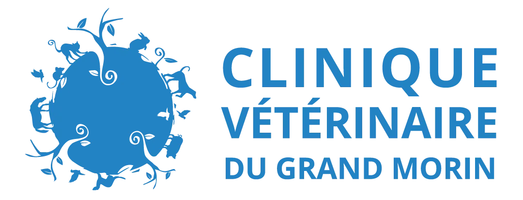 LE GRAND MORIN