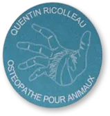 RICOLLEAU QUENTIN